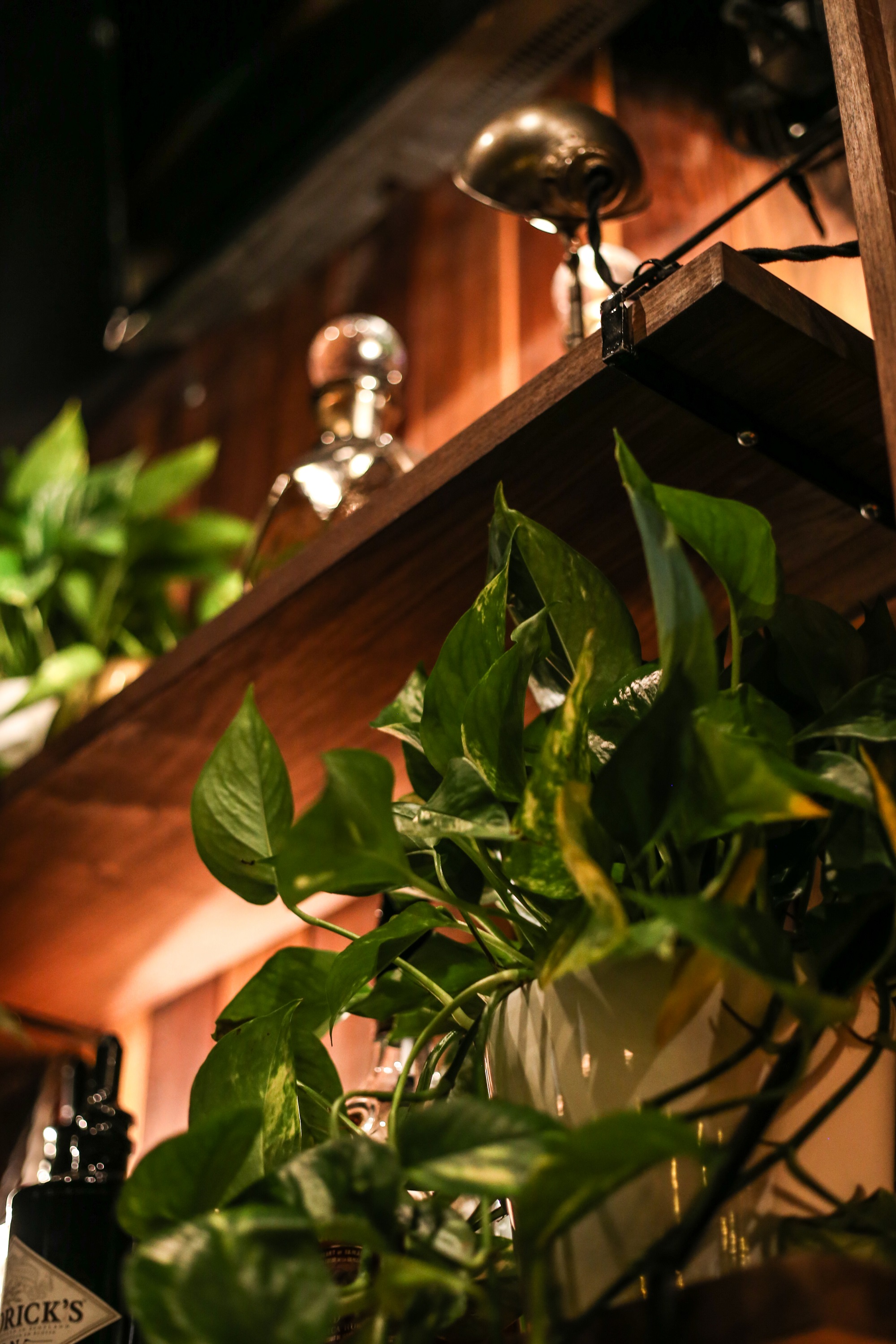 Un très cool nouveau bar ouvre ses portes à Montréal et ça vaut le détour (PHOTOS)