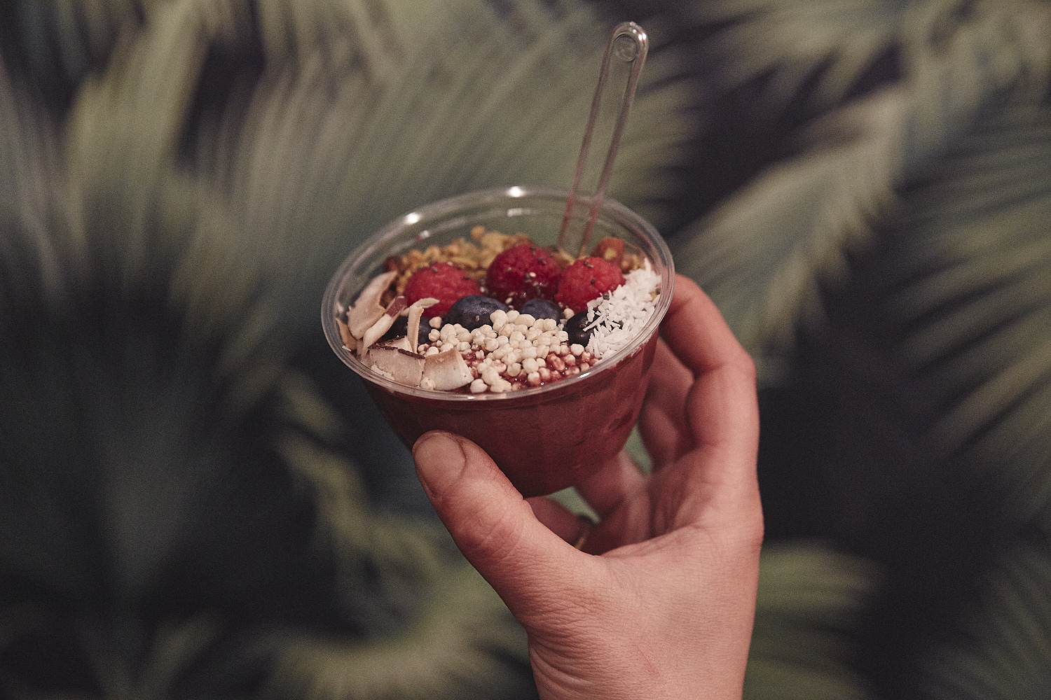 Crux Comptoir débarque dans le Vieux avec ses jus pressés à froid et ses légendaires bols d'açaïs (PHOTOS)