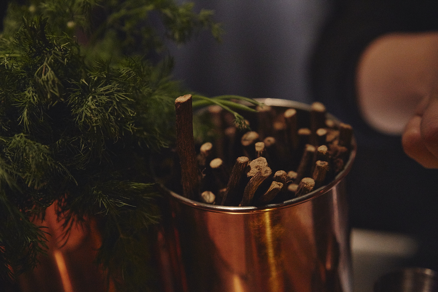 Ouverture du BARTIZEN: le nouveau bar pour les amateurs de gins québécois (PHOTOS)