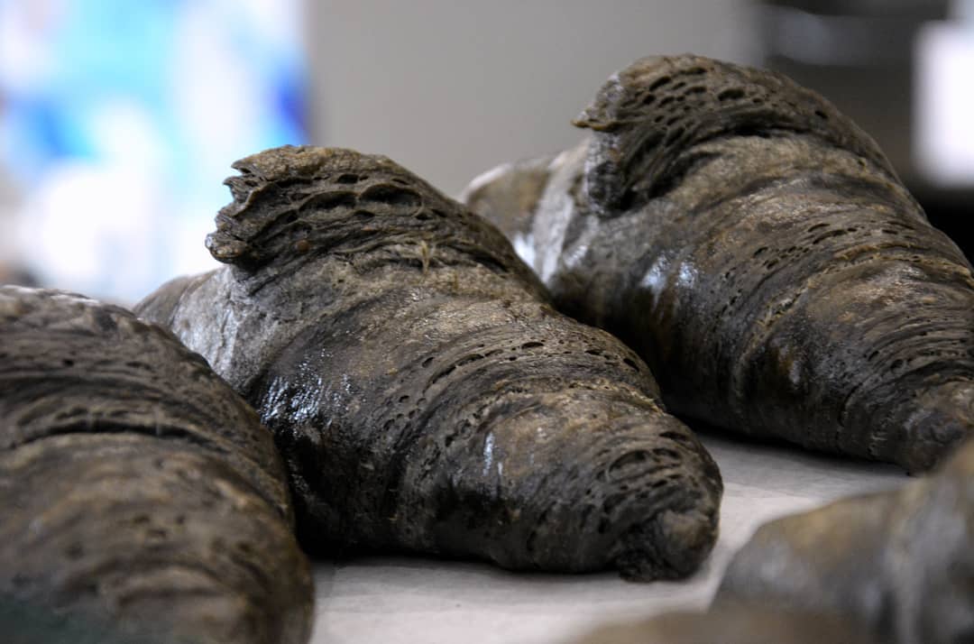 Les croissants au charcoal: la nouvelle tendance culinaire populaire sur Instagram (PHOTOS)