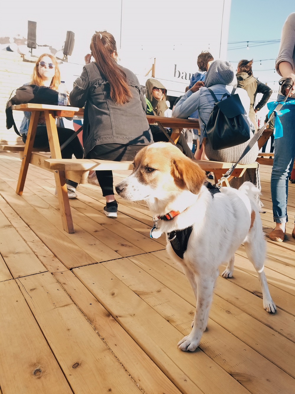 PRIMEUR: voici de quoi aura l'air la terrasse d'Aire Commune cet été (PHOTOS)