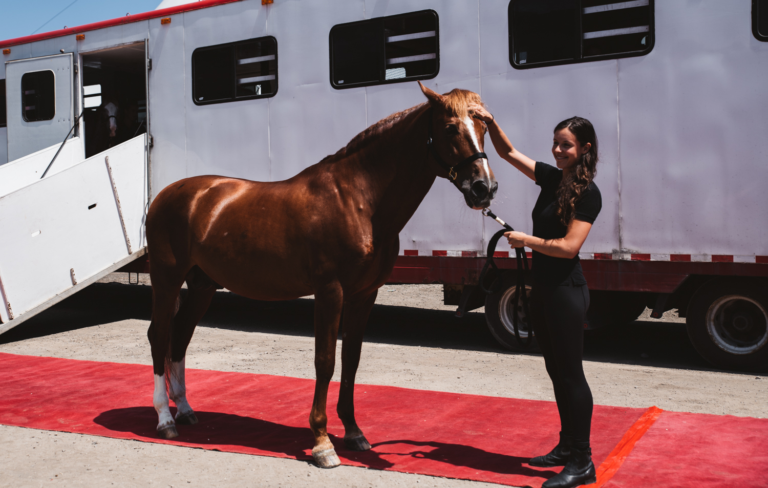 barbie cavalière et son cheval