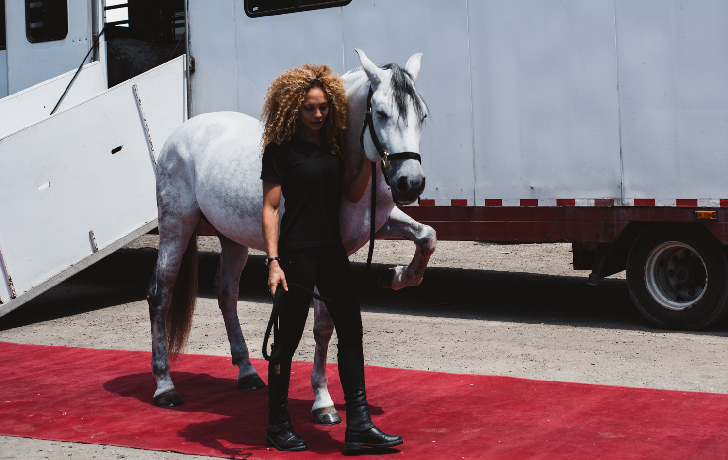 barbie cavalière et son cheval