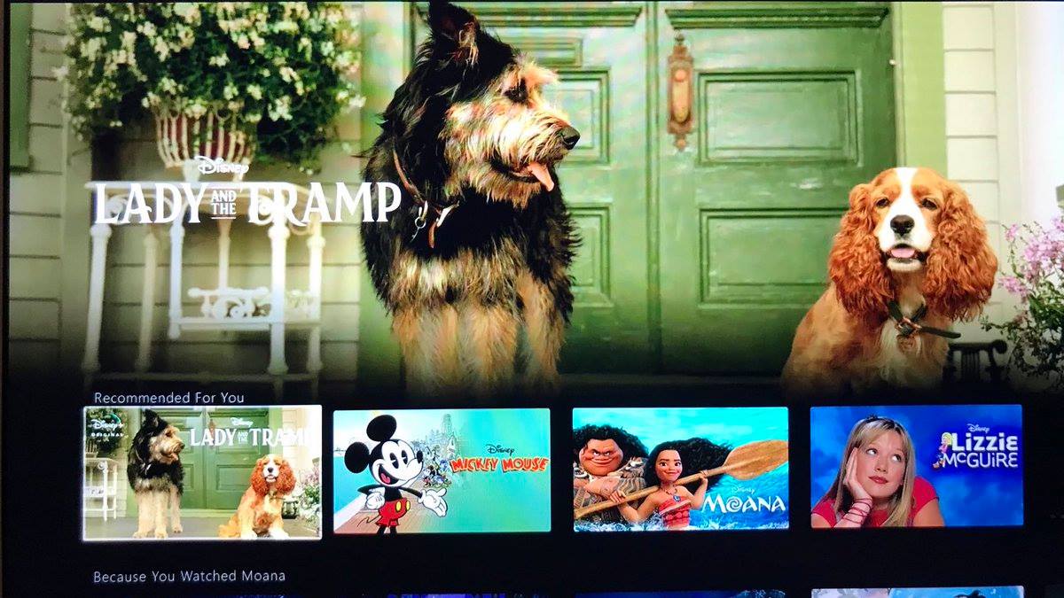 Voici tout ce qu'il faut savoir sur Disney+ la plateforme de vidéo sur demande