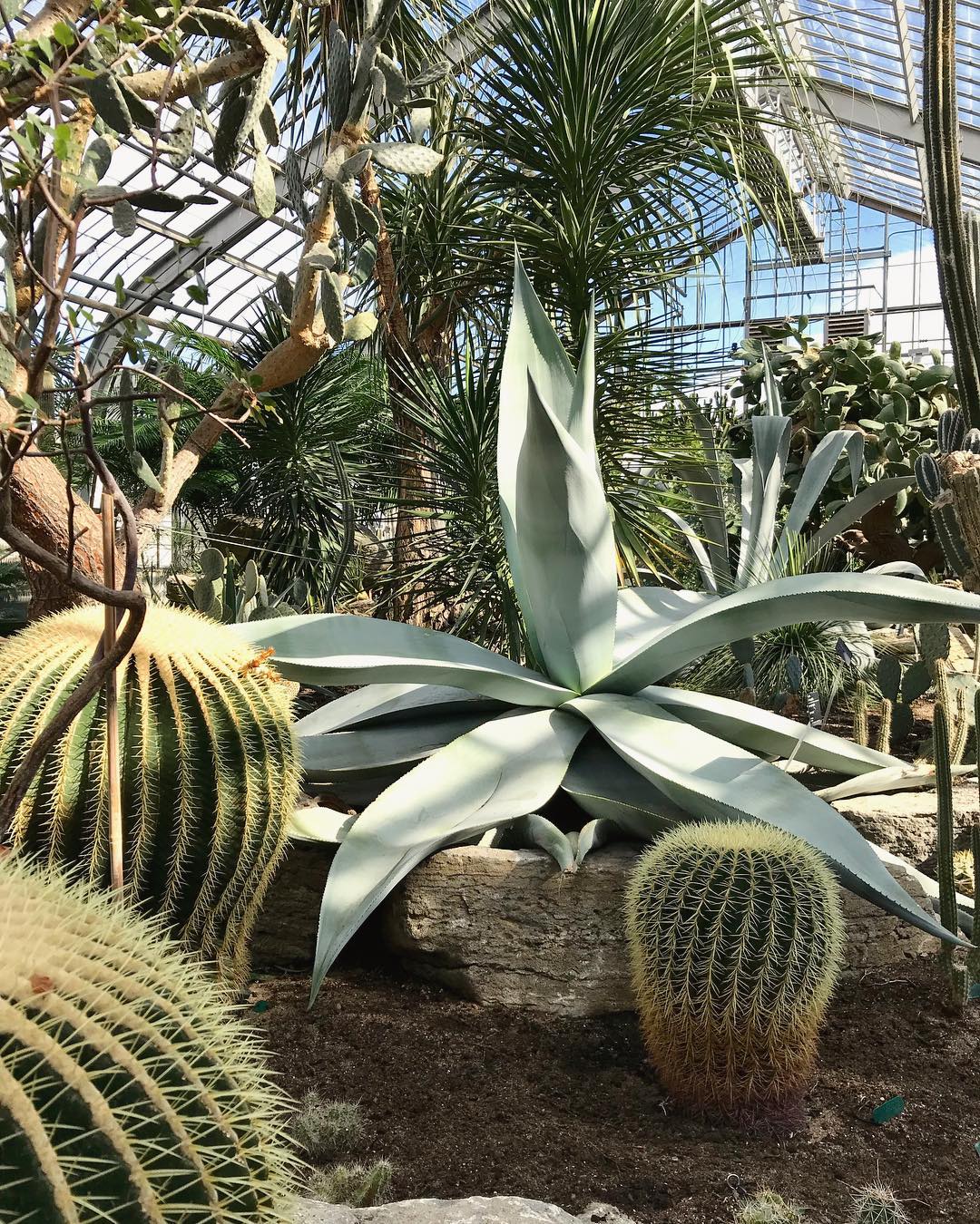 Le Jardin botanique sera gratuit toute une journée en mai