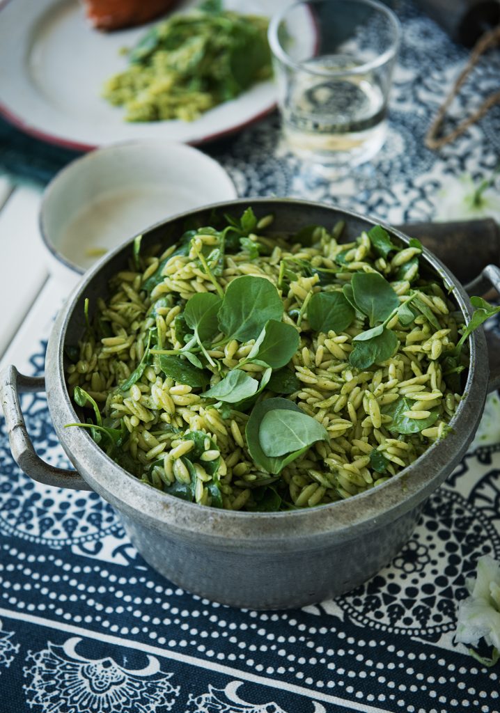 Pique-nique à Montréal: 15 délicieuses recettes à essayer bientôt!