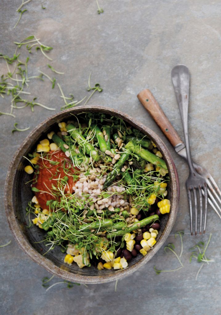 Pique-nique à Montréal: 15 délicieuses recettes à essayer bientôt!