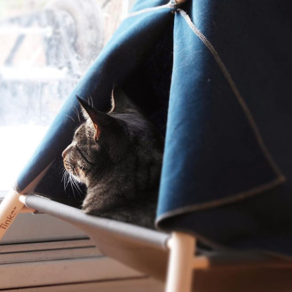 On a trouvé le plus joli abri pour votre animal favori! (PHOTOS)