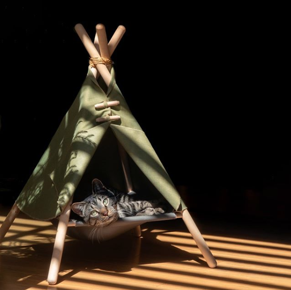 On a trouvé le plus joli abri pour votre animal favori! (PHOTOS)