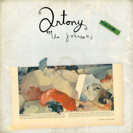 Critiques CD: Antony and the Johnsons | Swanlights