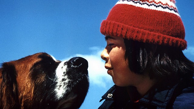 La guerre des timbres: week-end cinéma nostalgie