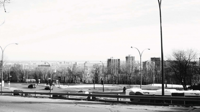 Belvédère éphémère: célébrer le Mont-Royal à travers un chantier de création artistique