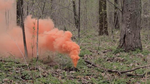 Chromatic ne fait pas dans les demi-tons: 150 artistes de tous genres, 2 jours hauts en couleur