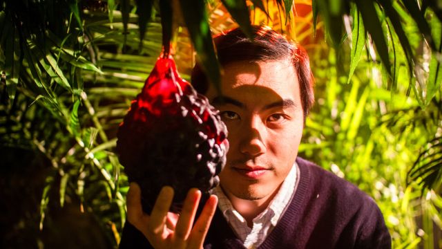 The Fruit Hunters: a naughty thrill ride into the realm of exotic edibles