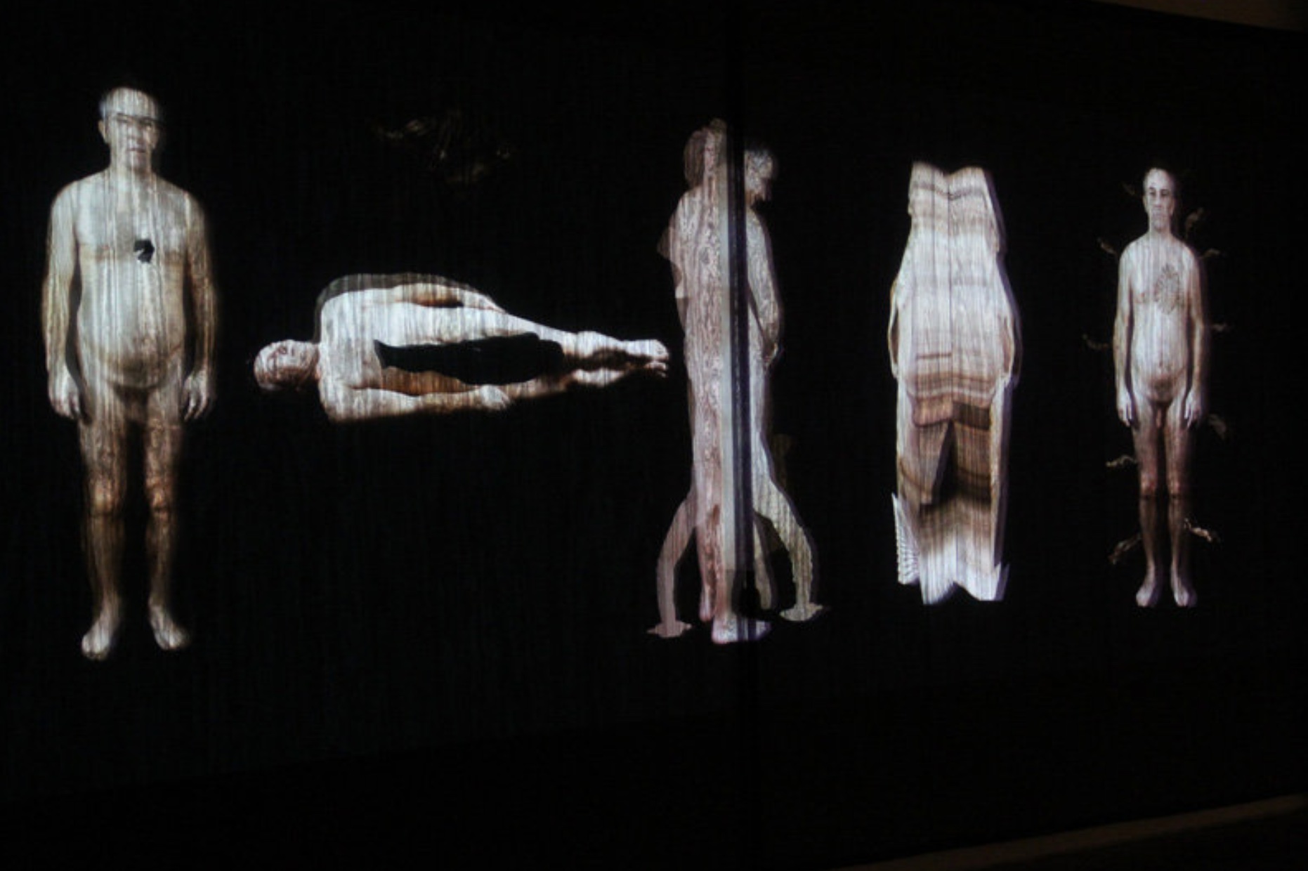 Hybrid Bodies au Centre Phi: le résultat d&#039;une longue collaboration entre scientifiques et artistes