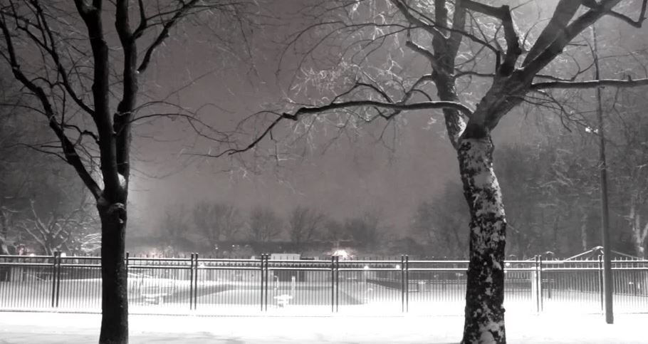 Une vidéo paisible de Montréal qui risque de vous faire (re)tomber en amour avec la neige
