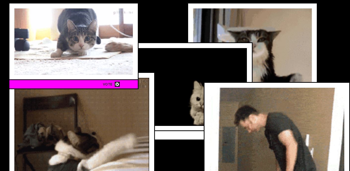 Gifys récompense les meilleurs gifs de l'Internet (pis tu peux voter pour ton pref!)