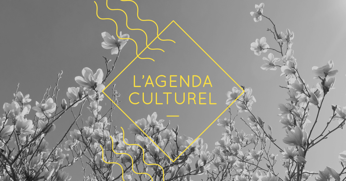 Agenda culturel: le cinéma indépendant illumine Montréal pour les prochains jours!