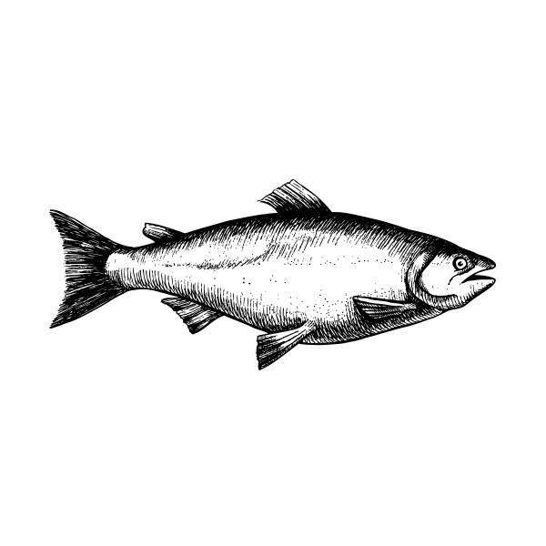 Un nouveau resto-comptoir de poissons et fruits de mer ouvrira bientôt dans le Mile-End