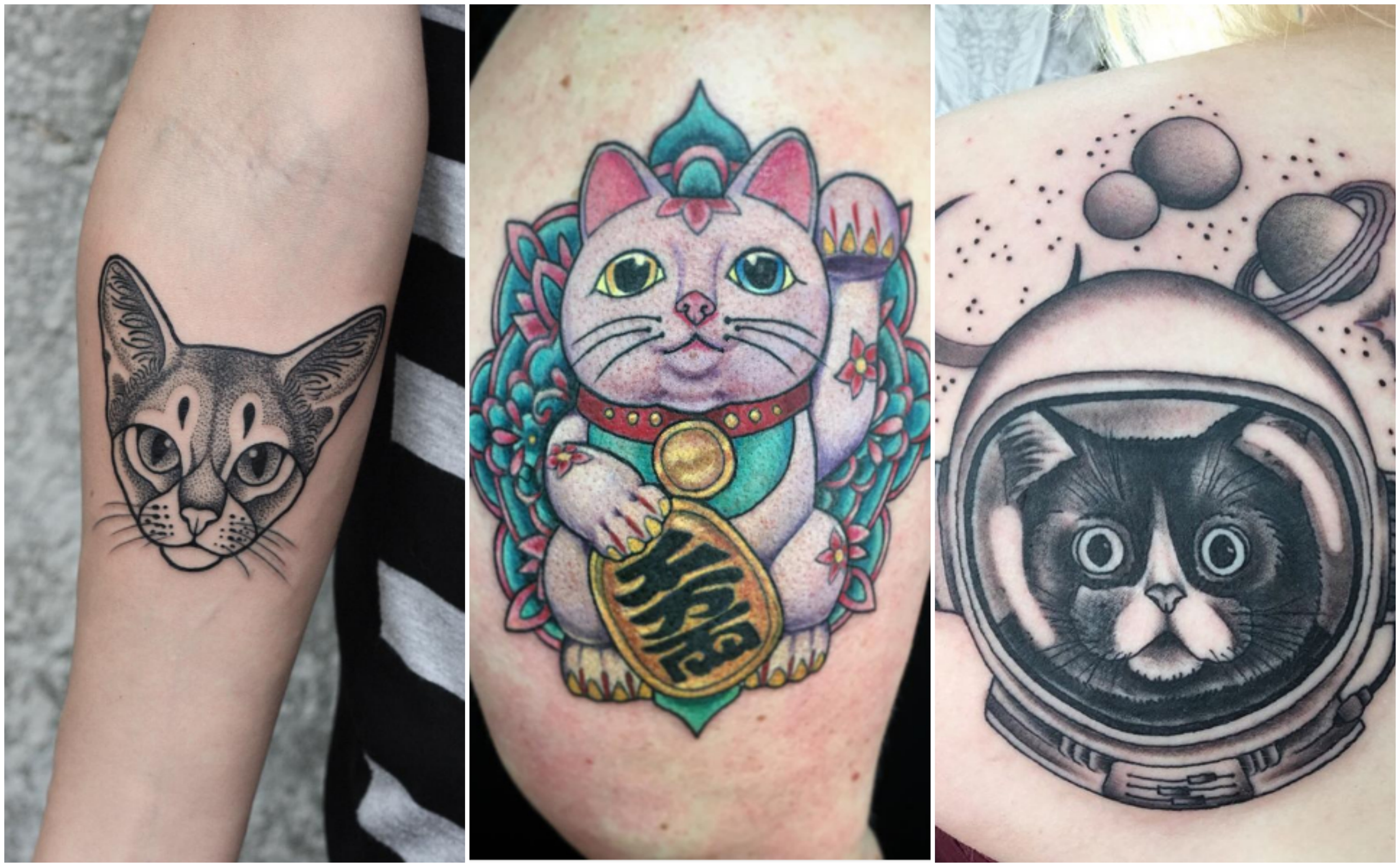 Les 20 tattoos de chats les plus awesome