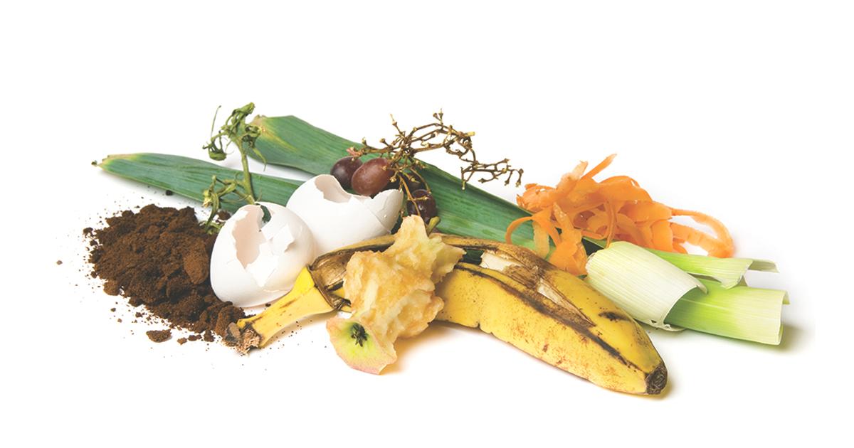 Montréal te collera une amende salée si tu ne respectes pas son nouveau règlement sur les déchets