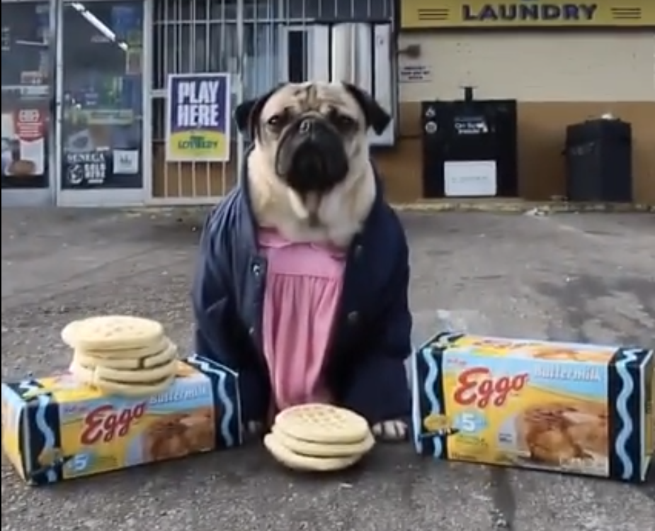 La saison 1 de Stranger Things en version améliorée avec Doug The Pug