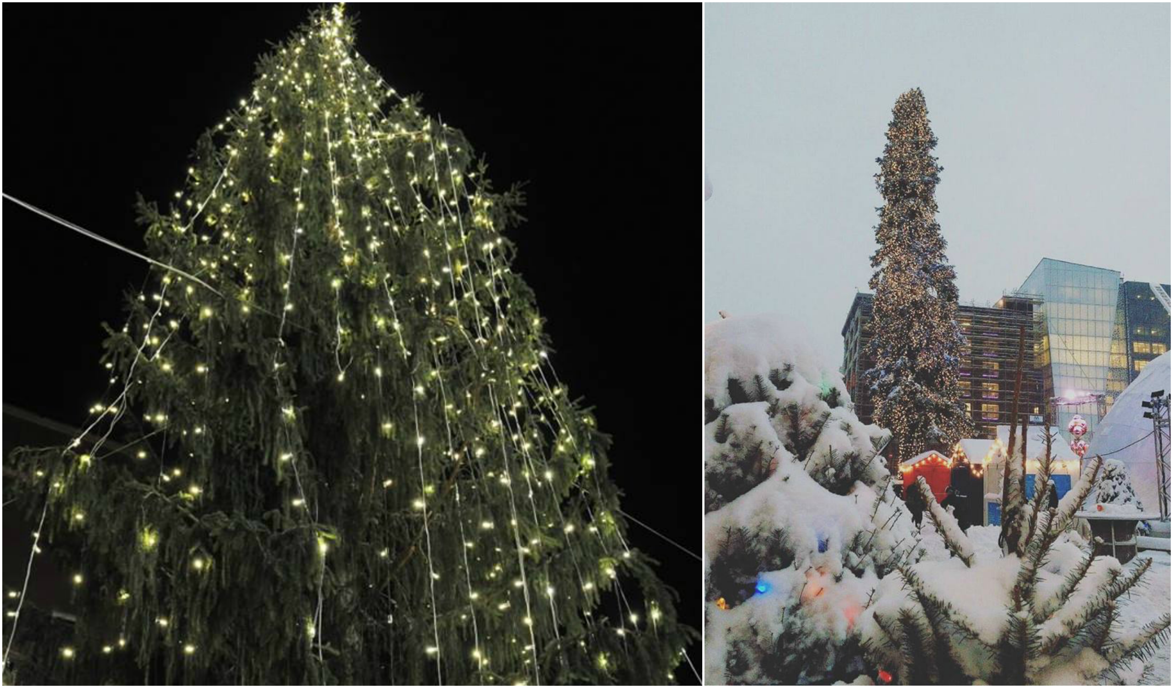Le Sapin de Montréal n&rsquo;est ENFIN plus le pire sapin au monde!