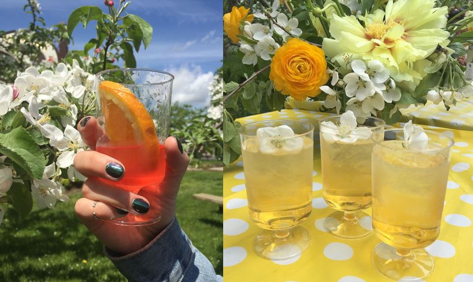 5 délicieuses recettes de cocktails à base de gin faciles à faire