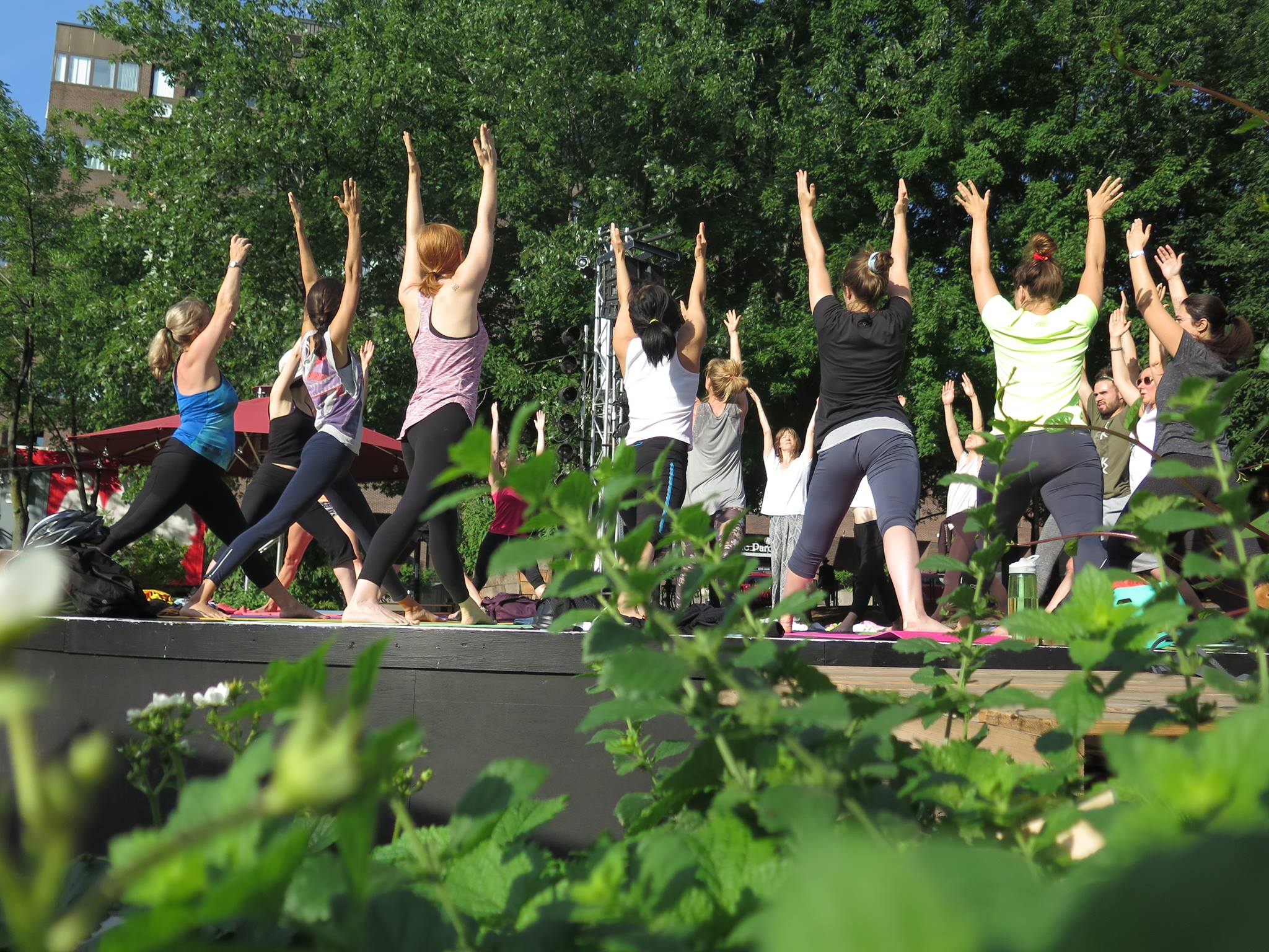Des séances de yoga gratuites aux Jardins Gamelin tout l&rsquo;été