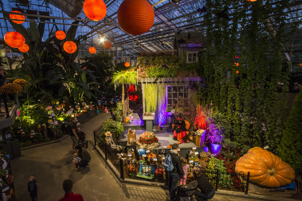 Top activités le fun à faire à Montréal pour l'Halloween