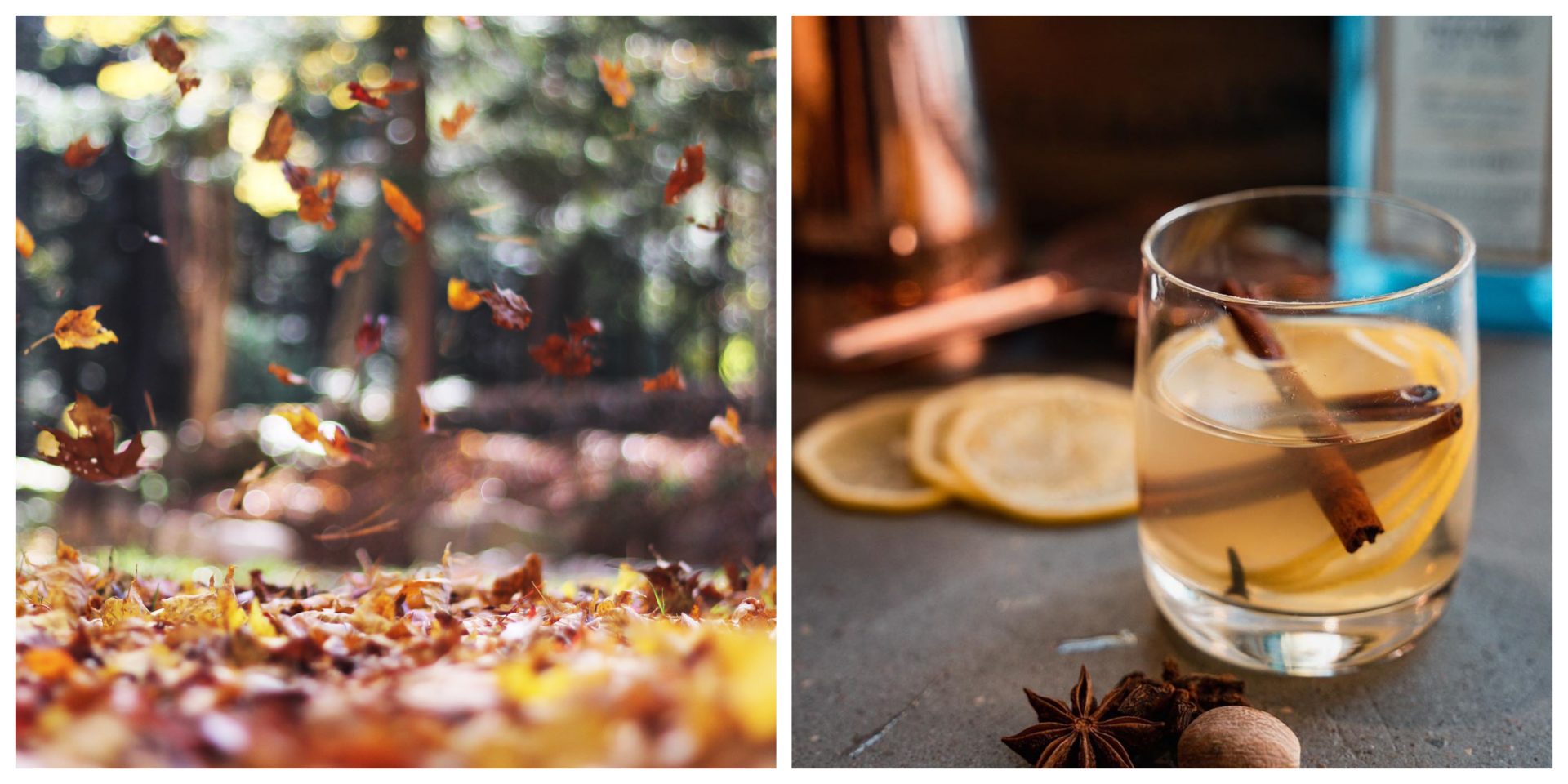 3 recettes de cocktails d’automne à faire chez soi – par le Bar Chef de Last Call