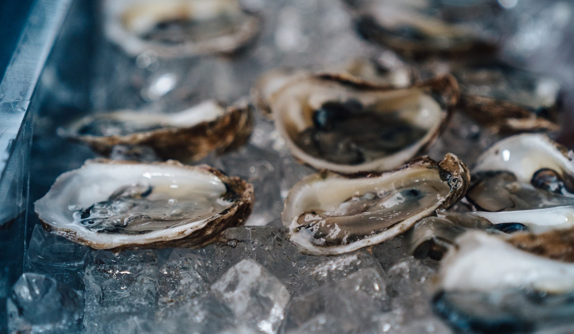 Où manger des huîtres à 1$?