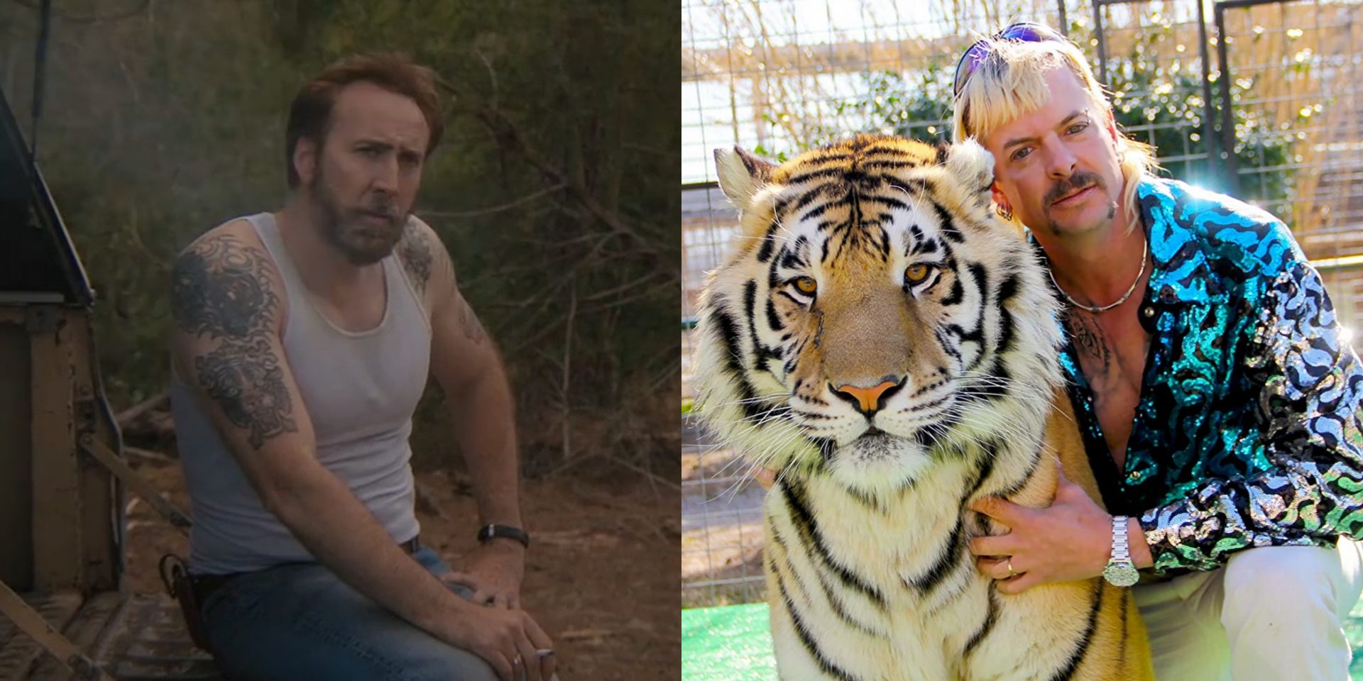 Nicolas Cage jouera Joe Exotic dans une série basée sur Tiger King!