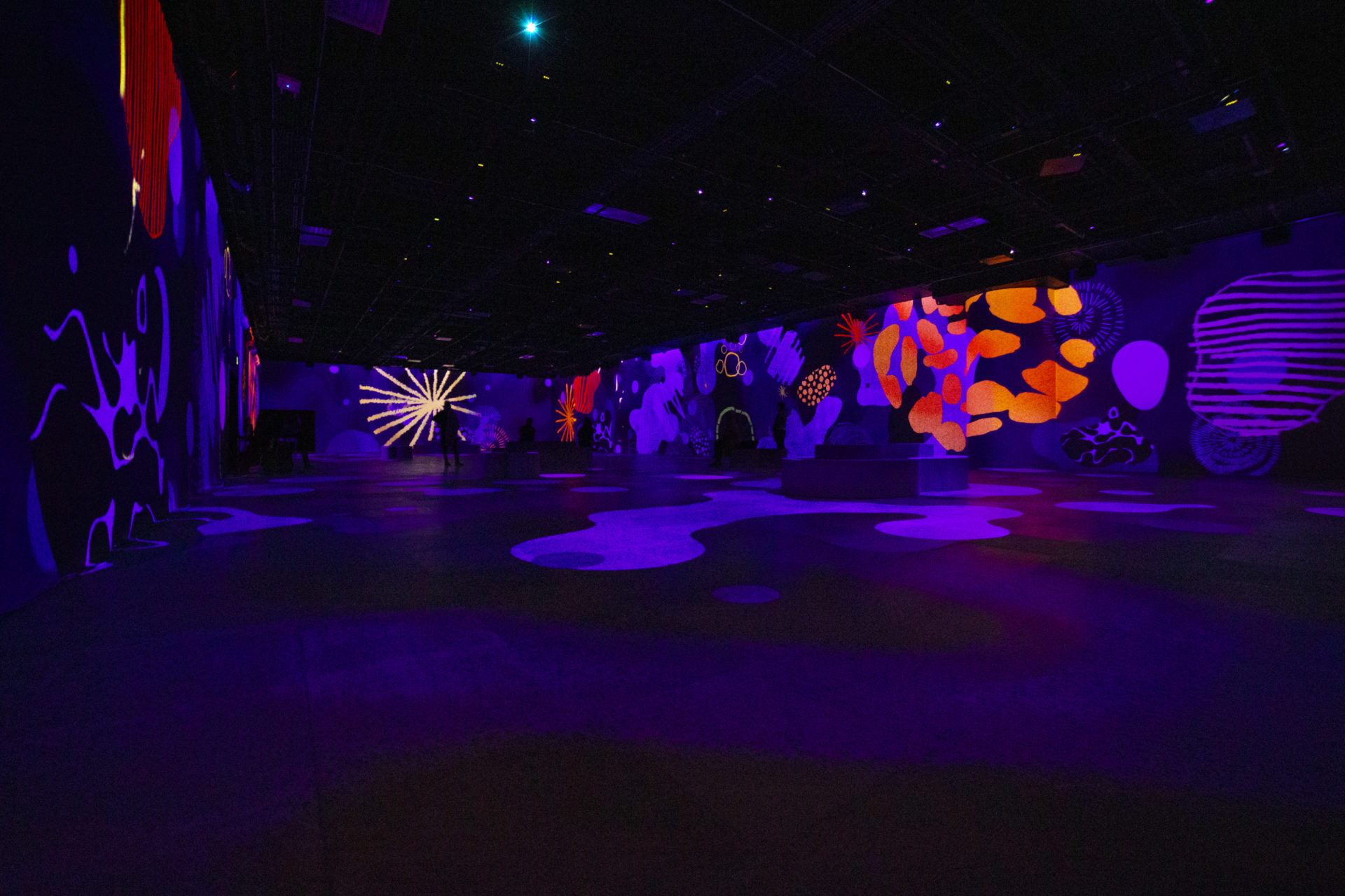 Une nouvelle expérience complètement immersive qui éveillera tous vos sens débarque bientôt à Montréal! [VIDÉO]