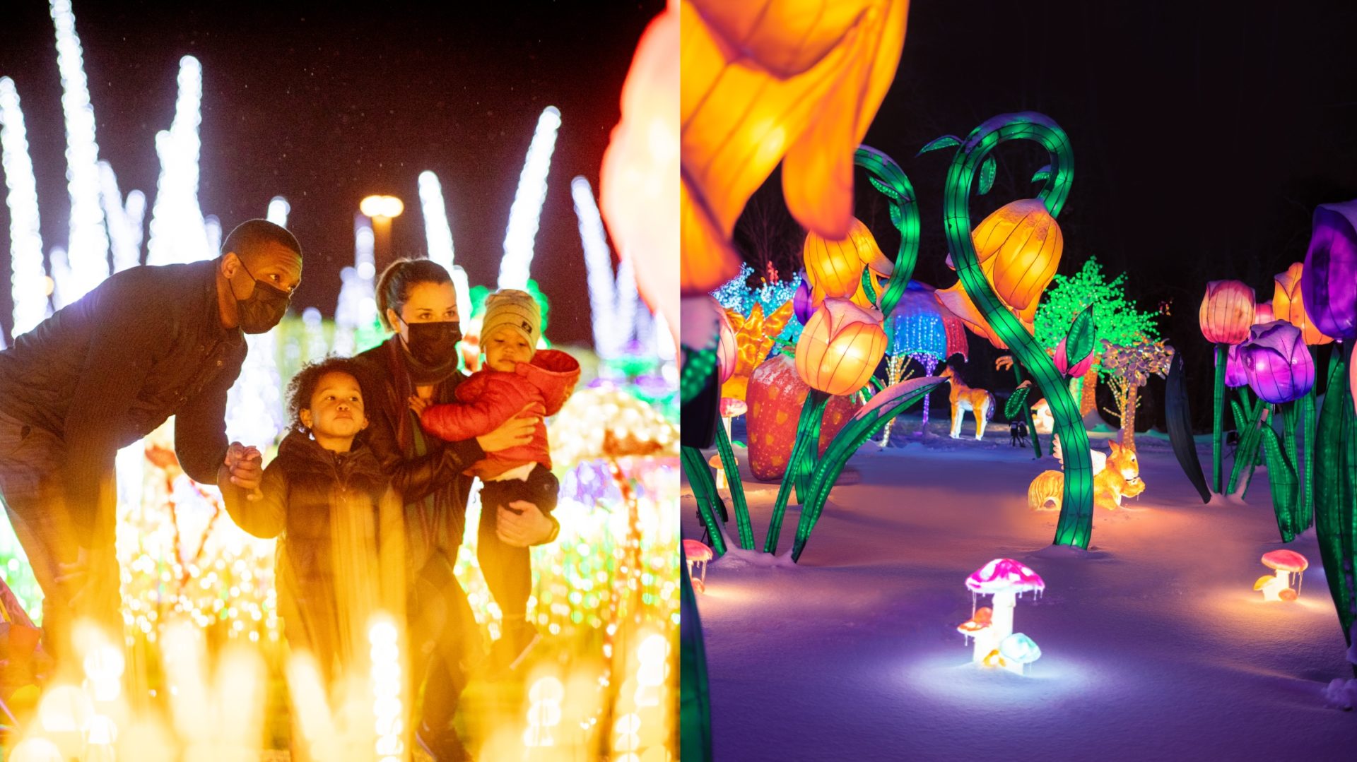 Illumi ramène son offre printanière et lance «un parcours de Pâques» dès le mois prochain!