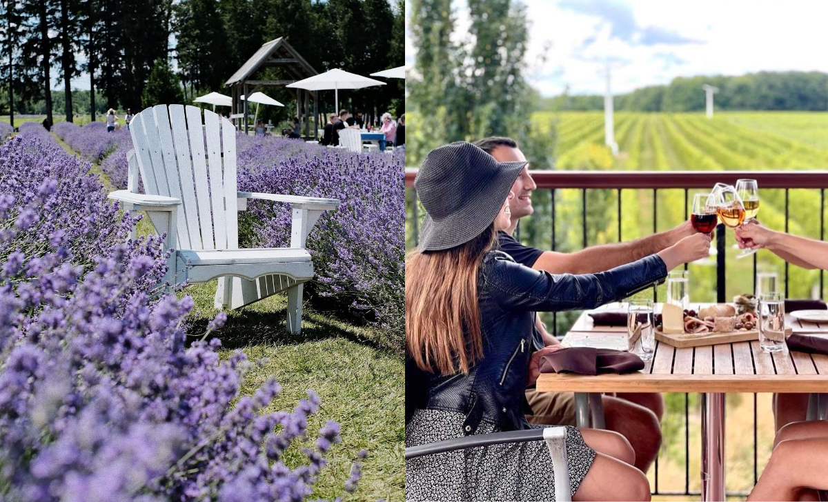 Quoi faire dans les Basses-Laurentides