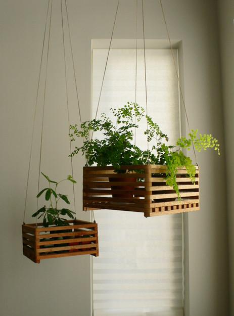 5 façons de décorer avec des plantes