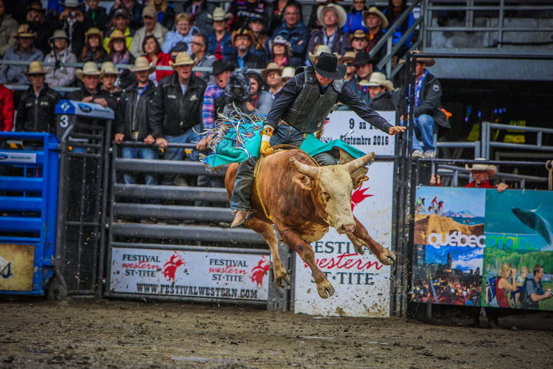 Un rodéo urbain pour le 375e, 100 en désaccord! Nightlife
