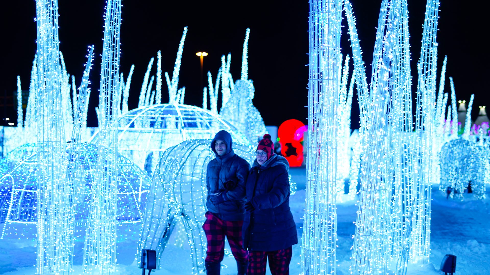 Illumi - Féerie de Lumières par Cavalia - 1