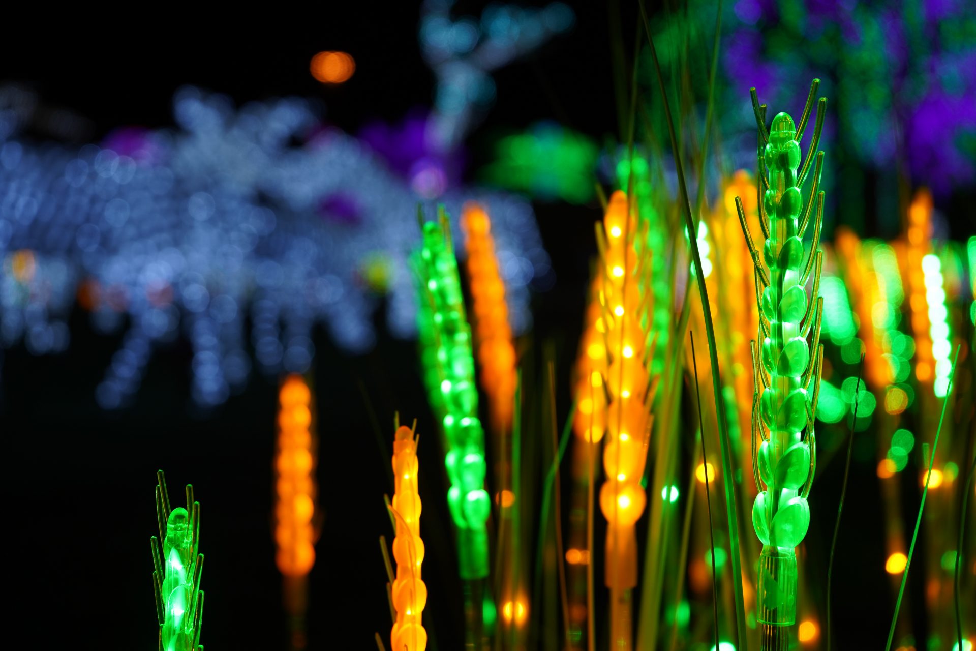 Illumi - Féerie de Lumières par Cavalia - 10