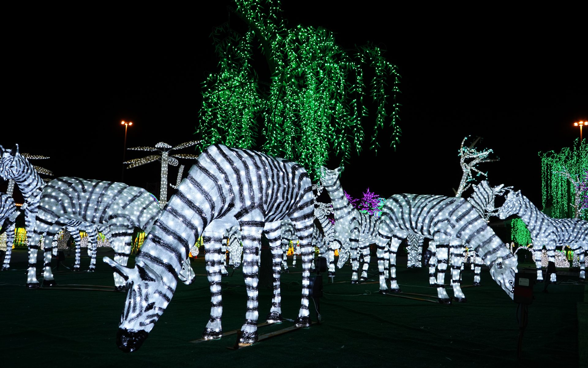 Illumi - Féerie de Lumières par Cavalia - 12