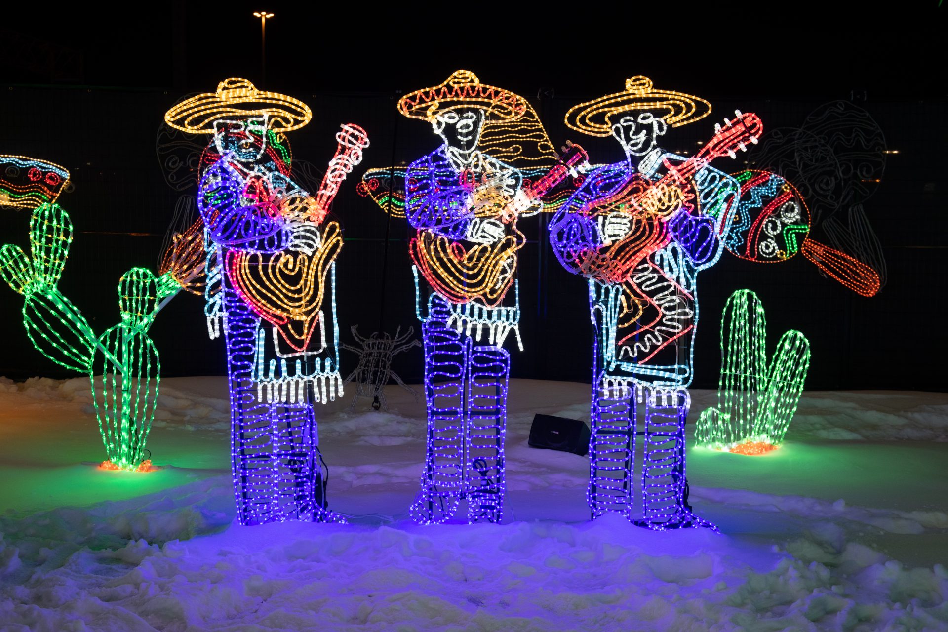 Illumi - Féerie de Lumières par Cavalia - 14