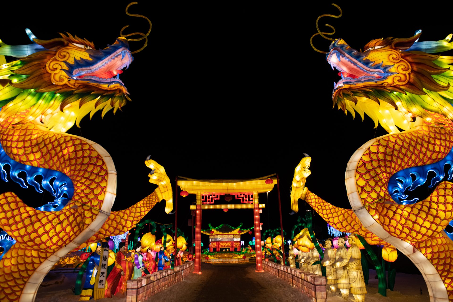 Illumi - Féerie de Lumières par Cavalia - 17