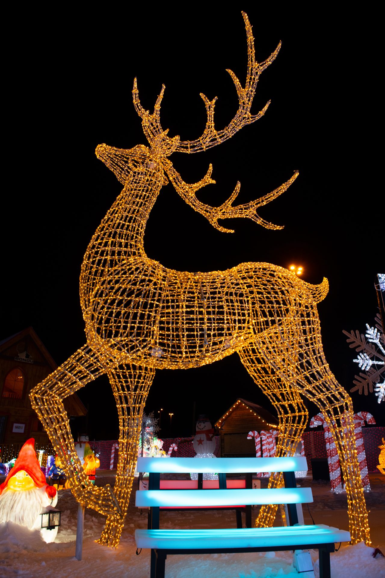 Illumi - Féerie de Lumières par Cavalia - 19