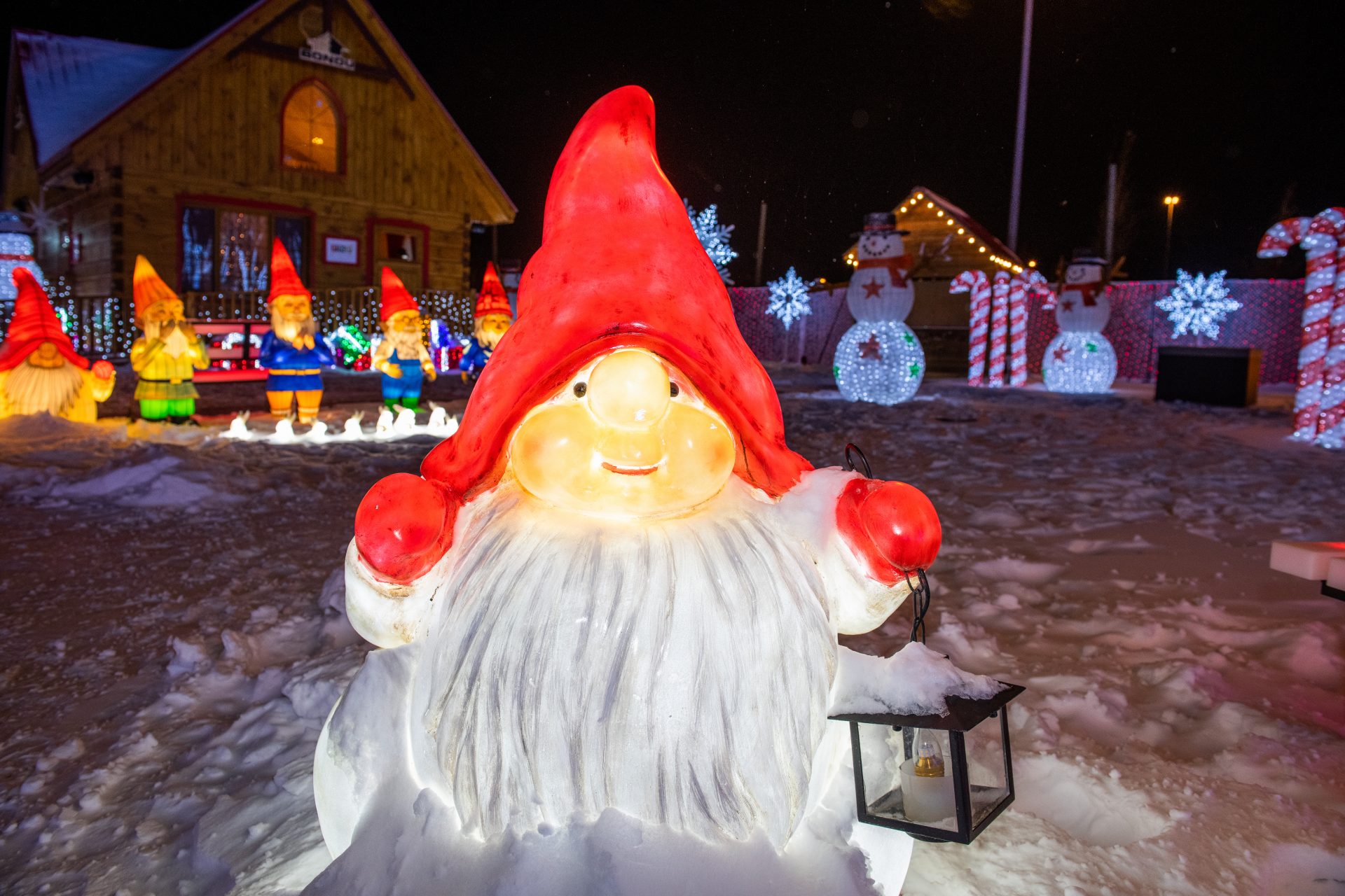 Illumi - Féerie de Lumières par Cavalia - 20