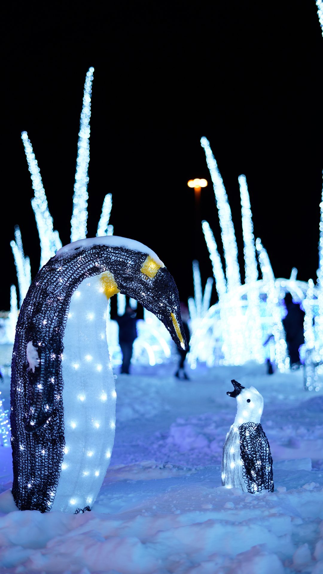 Illumi - Féerie de Lumières par Cavalia - 3