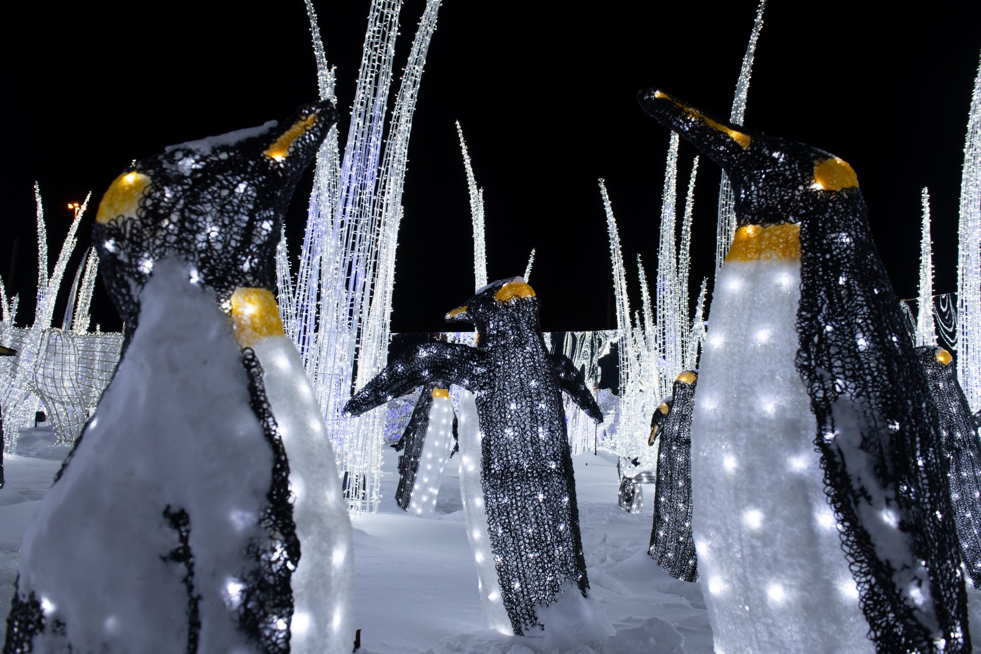 Illumi - Féerie de Lumières par Cavalia - 4
