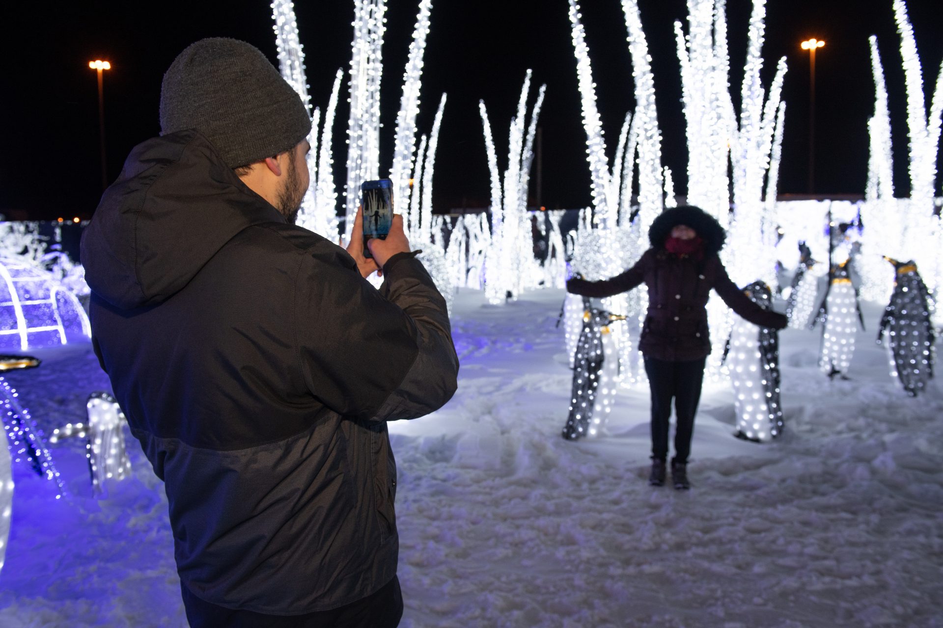 Illumi - Féerie de Lumières par Cavalia - 5