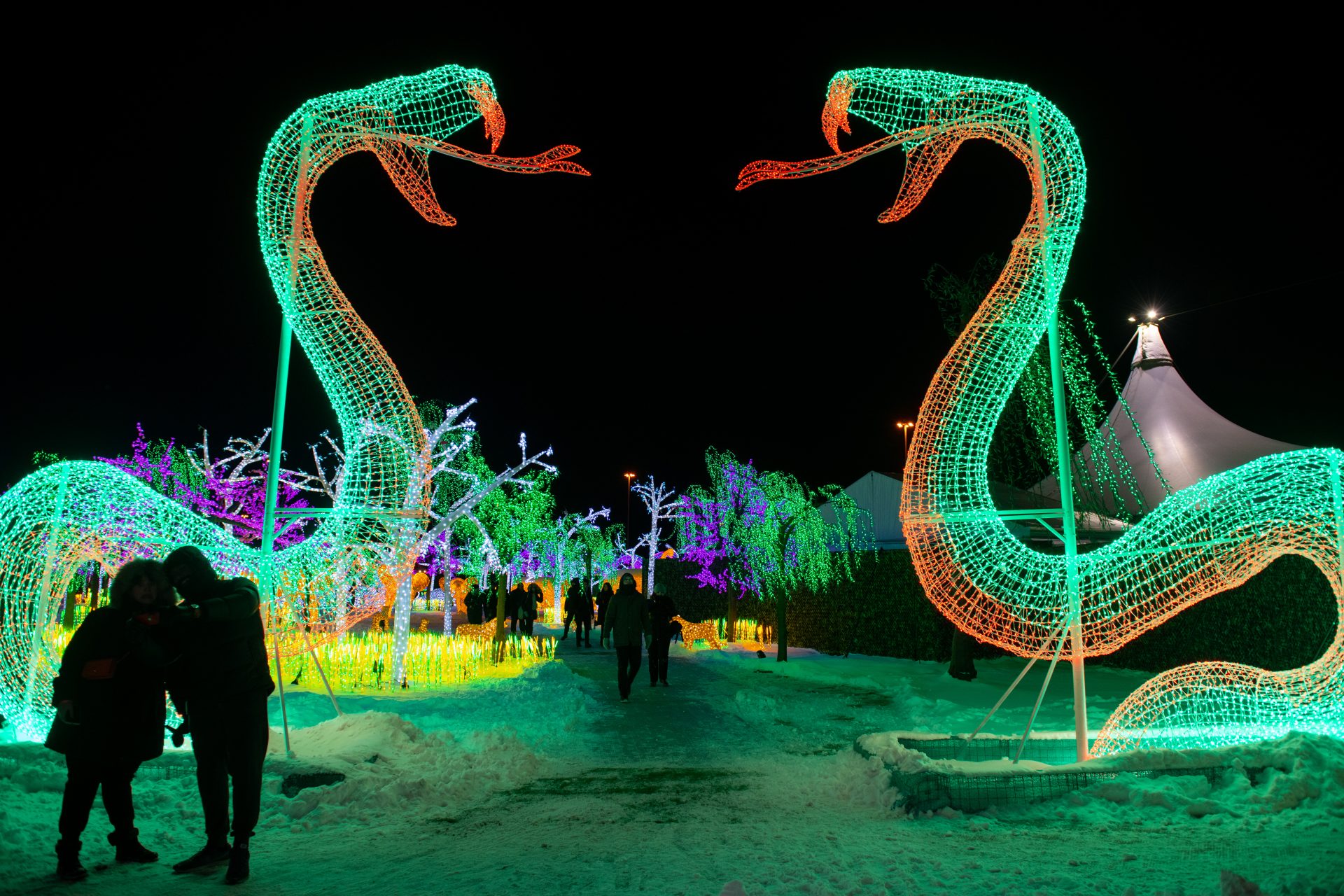 Illumi - Féerie de Lumières par Cavalia - 8