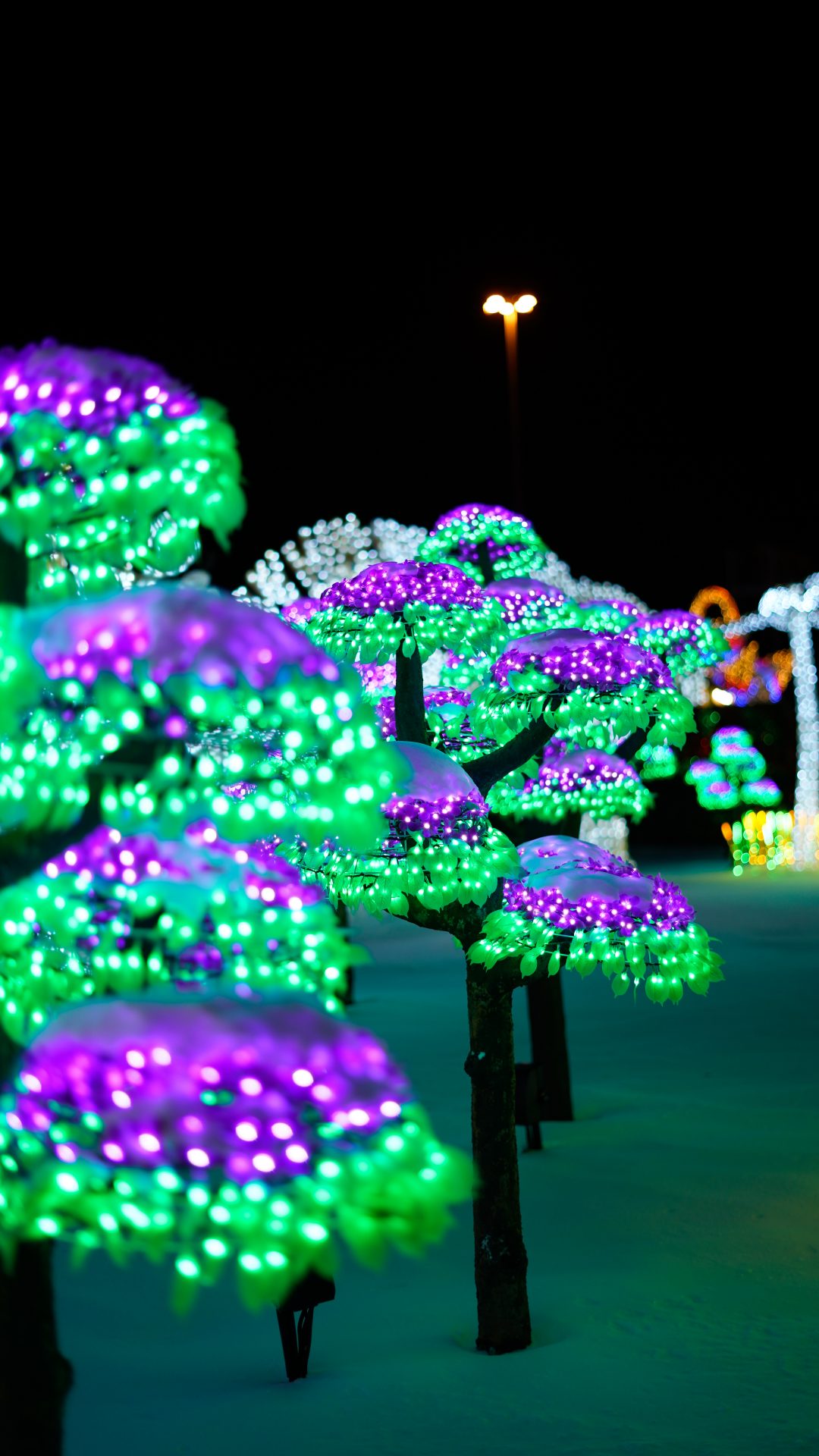 Illumi - Féerie de Lumières par Cavalia - 9
